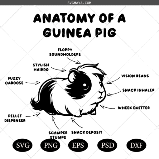 Anatomy Of A Guinea SVG PNG, Guinea Pig Lover SVG PNG,  Circuit Guinea SVG PNG