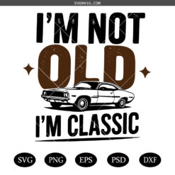 I'm not Old I'm A Classic SVG PNG, Retro Vintage SVG PNG, Funny Classic Car SVG PNG