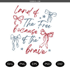 Land Of The Free Because Of The Brave SVG, Retro America Coquette SVG PNG
