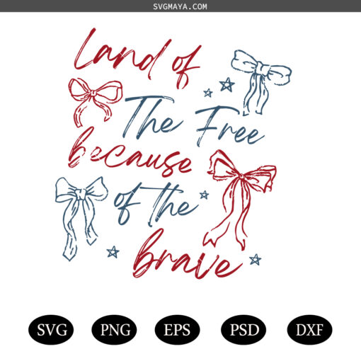 Land Of The Free Because Of The Brave SVG, Retro America Coquette SVG PNG