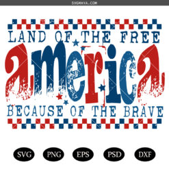 Land of the Free America SVG PNG, America Coquette Memorial Day SVG PNG, Retro America Land  SVG