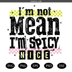 I’m Not Mean I’m Spicy PNG SVG, Retro Checkered  SVG PNG, Funny Snarky  SVG PNG