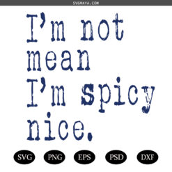I'm Not Mean Spicy Nice SVG ,  Snarky Sarcasm Anxiety SVG, Antisocial SVG