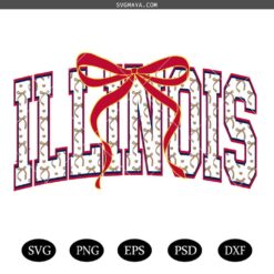 Coquette Illinois PNG SVG, Red Bows Illinois Design SVG, Trendy Illinois Coquette Bow SVG PNG