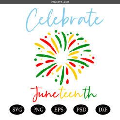 Just Here For The Fireworks SVG PNG ,Funny USA Fireworks Couple png, Sarcastic Couple svg png