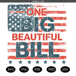 One Big Beautiful Bill Png svg, One Big Beautiful Bill Png svg, USA Humor SVG Red White Blue svg
