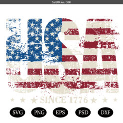 USA Since 1776 Png SVG, Fourth Of July Png svg, USA PNG svg, America png svg, Patriotic Flag Png svg, Independence Day Png SVG